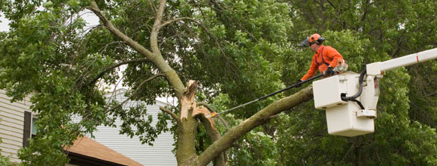 Landscaping & Sprinklers, Holmes, NY
